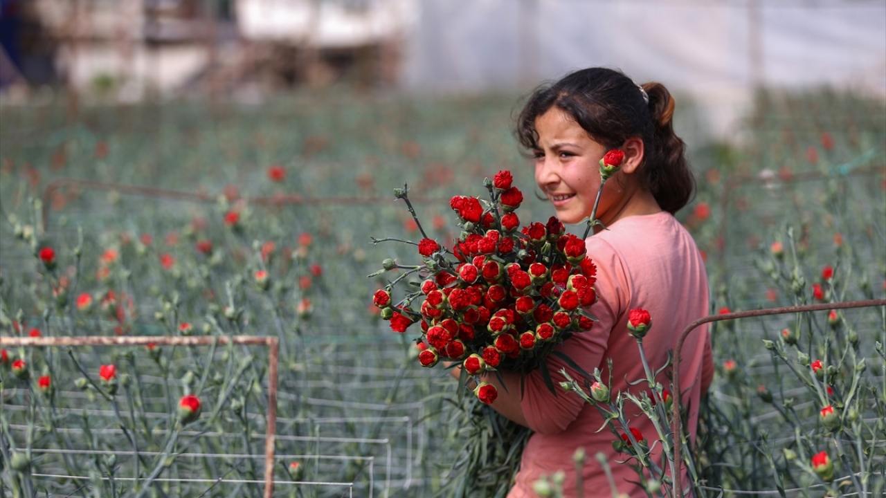 8 Mart’ta Dünya Kadınlarının Yüzünü Türk Çiçeği Güldürecek