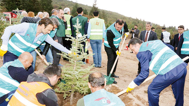 Ağaç Dikme Cezası Son Üç Yılda Türkiye’ye 2 Milyon 309 bin 565 Ağaç Kazandırdı