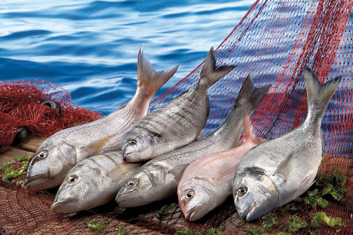 Balıkçılıkta Uygulanan Para Cezalarına Yeni Düzenleme