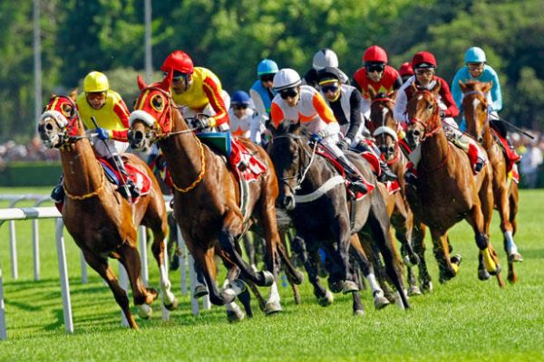 Tarım ve Orman Bakanlığı At Yarışları İçin Karar Verecek