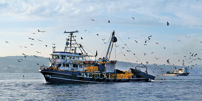 Türk Balıkçılara Uluslararası Sularda da İndirimli Akaryakıt İmkanı