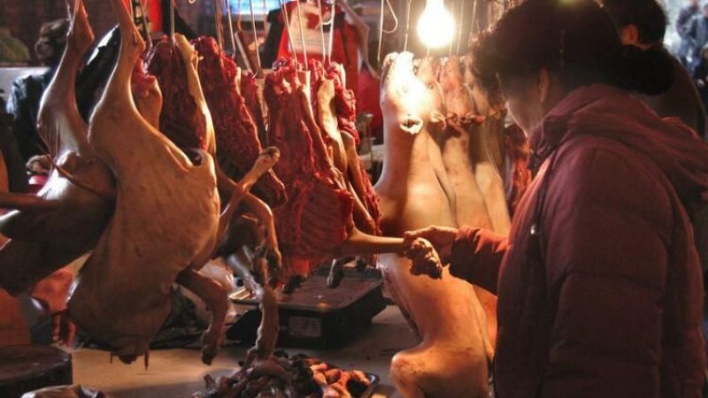 Wuhan’da Vahşi Hayvan Yemek de Yasaklandı