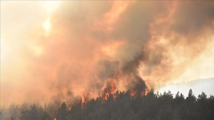Tarım ve Orman Bakanlığı’ndan yangın söndürme atağı