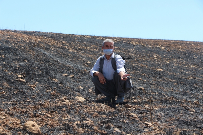 Hasat dönemindeki anız yangınları çiftçiyi mağdur ediyor