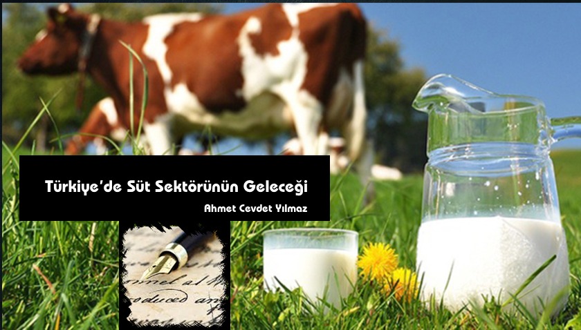 Türkiye’de Süt Sektörünün Geleceği!