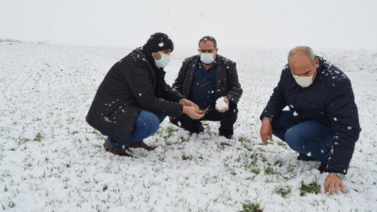 Kar Yağışı Çiftçilerin Yüzünü Güldürdü Emekler ‘Beyaz Altın’ İle Buluştu