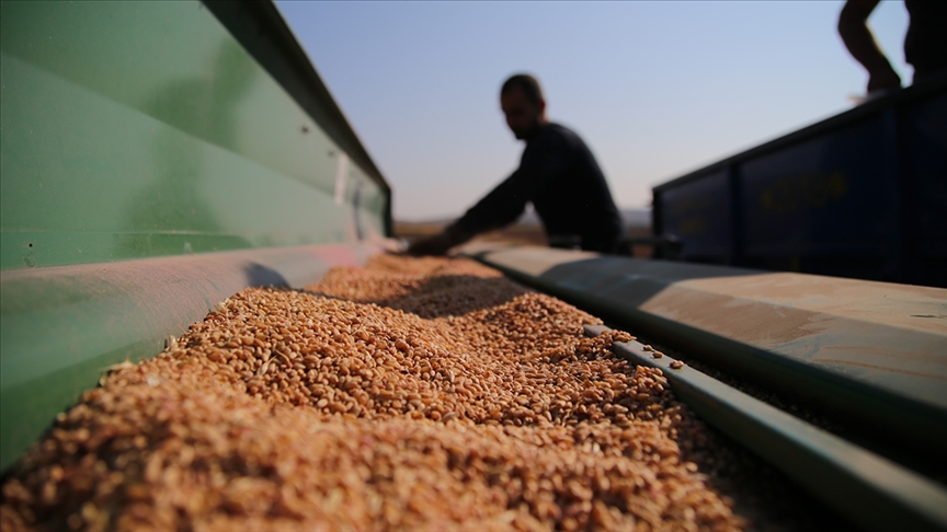 thumbs_b_c_c0c4cf1d017393013bffbb3f7f19790c