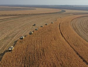 Çiftçi Sayısında Ordu, Tarım Arazisinde Konya Zirvede