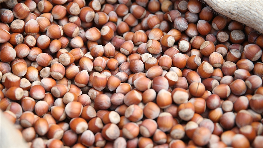 thumbs b c 6efa1efe3e449f66cf19c9fbafeee300