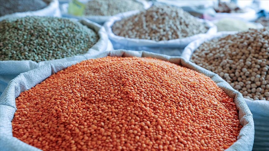 thumbs b c 868b94af81dcb8b48abd521103d50203