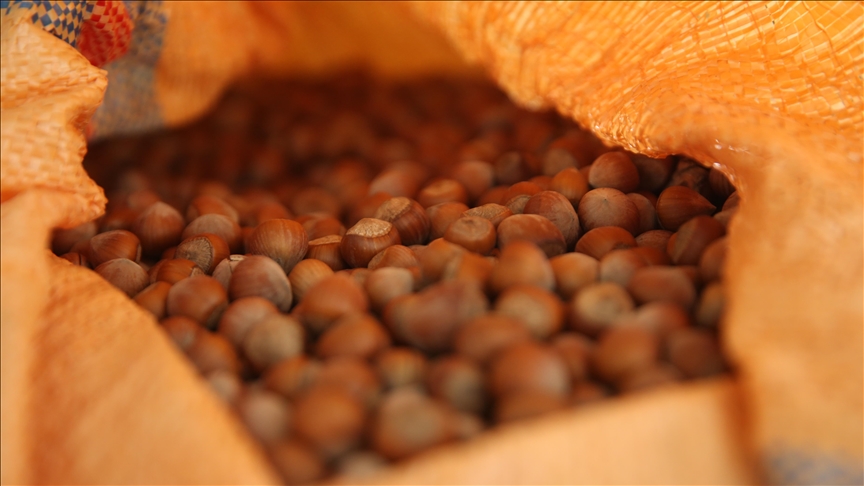 thumbs b c 72c88046def92368521c603a47013d4d