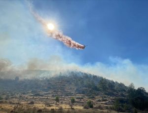 Mersin’de Çıkan Orman Yangınına Müdahale Ediliyor