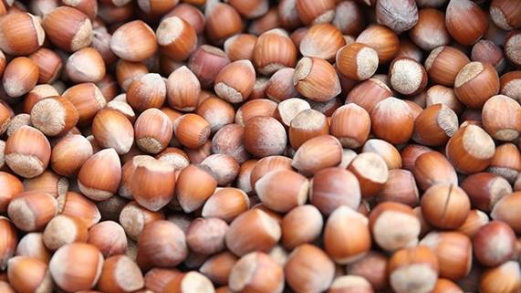 turkiye findik ihracatindan yaklasik 2 milyar dolar kazandi