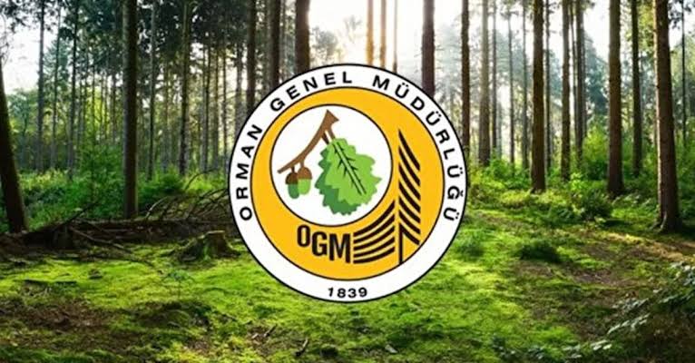 Orman Genel Müdürlüğü Binlerce Yeni Personel Alımı Yapıyor!