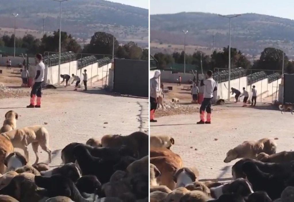 16001295 1200x824 1