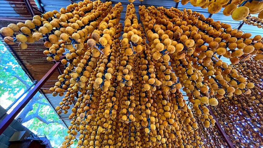 thumbs b c 68165d3034b8050af103c87319028412