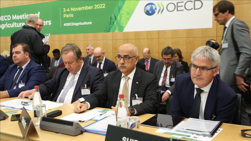 thumbs b c ecf25d7cecb8cfcc180ed9539481496b 1