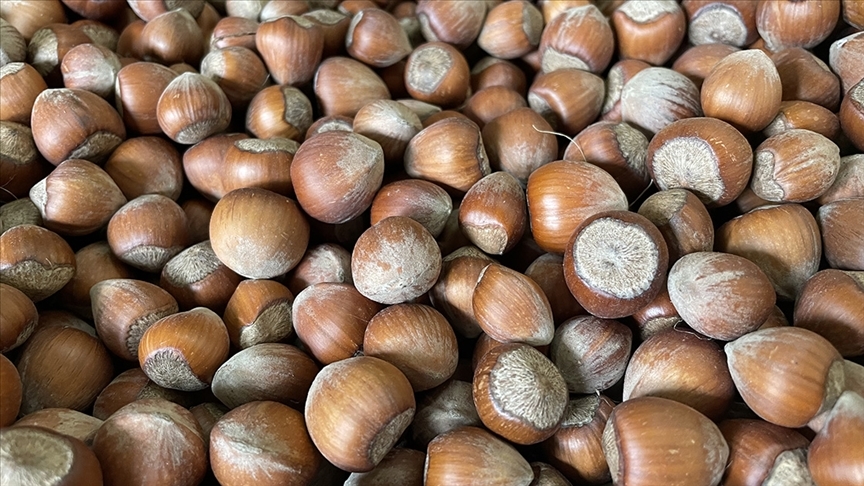 thumbs b c ee569706f03f8c606fe2452ccbb24702