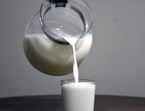 Çiğ Süt Desteği Ödemelerine İlişkin Esaslar Belli Oldu