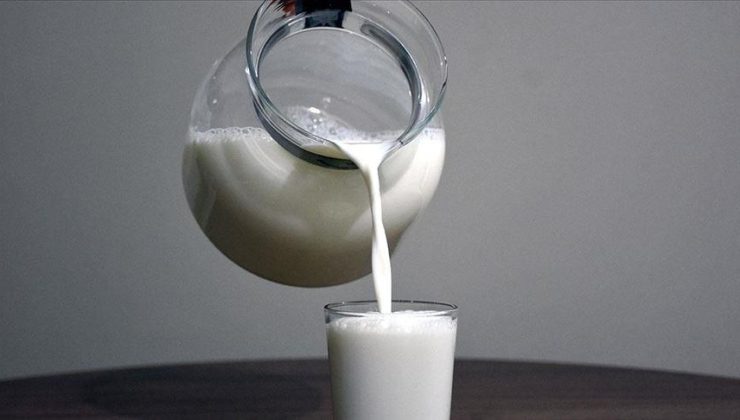Çiğ Süt Desteği Ödemelerine İlişkin Esaslar Belli Oldu