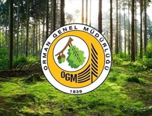 Orman Genel Müdürlüğü OGM 24 bin 959 Kadro Açıklandı! Güncel Boş Kontenjanlar