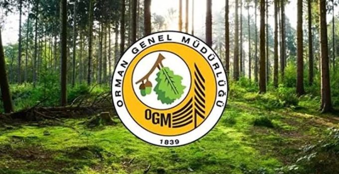 Orman Genel Müdürlüğü OGM 24 bin 959 Kadro Açıklandı! Güncel Boş Kontenjanlar