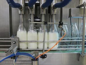 Toplanan İnek Sütü Miktarı Ocakta Yıllık Bazda Yüzde 4,4 Artarak 873 Bin 974 Ton Oldu