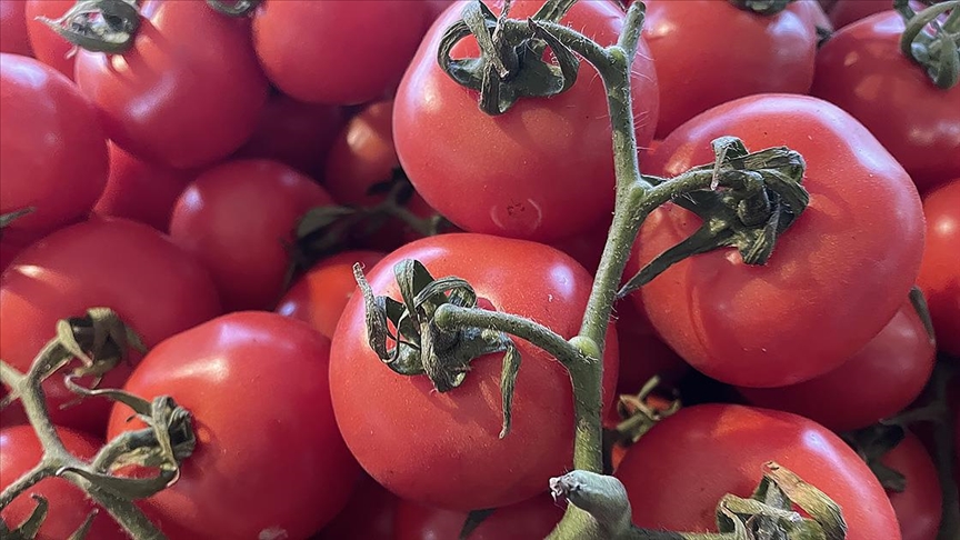 thumbs b c b27385eb622abf48b39eee388cf4d466