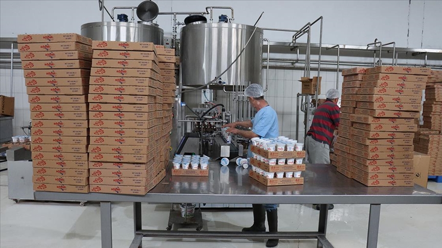 thumbs b c 629b9b9460f6437e60a41ea9f90537ec