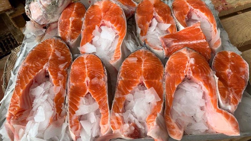 thumbs b c ac0c60528a0b740b01510bb249a8bf45