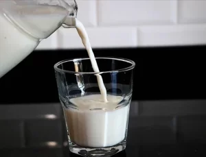 Dünya Genelinde 928 Milyon Ton Süt Üretiliyor