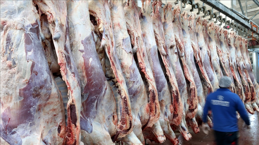 thumbs b c 1eedbcbe4f6b58d66571db6a4d88c572