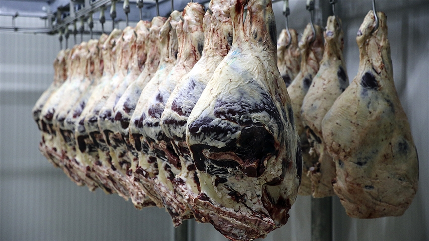 thumbs b c 5b7d53655d38d9be4fa0e39c747f3b0e