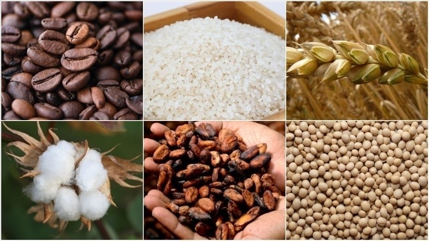 thumbs b c 7e542ab34926ac597e6e703c6c4f1e54