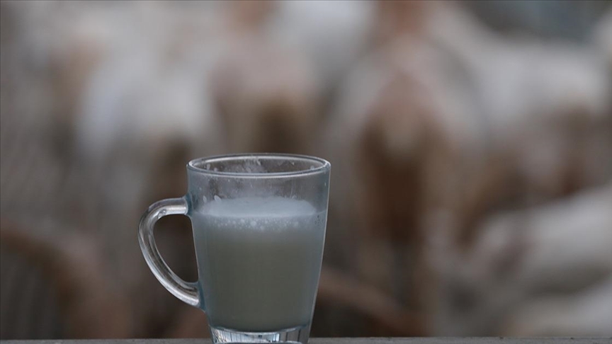 thumbs b c c55b935870d577bfb2cf6d3bc4651f86