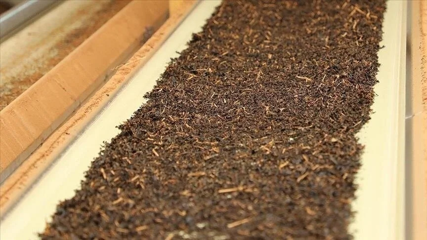 thumbs b c f973f6ec965e864e73b9670c78aa4420