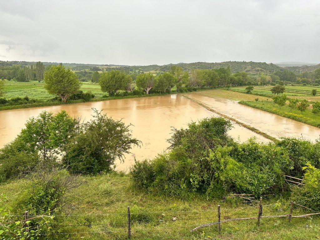 aw913810 01