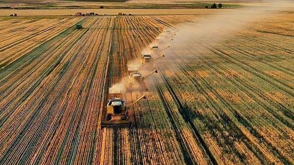 Tarımda Gıda Arz Güvenliği İçin Yerli ve Milli Adımlar Atılacak