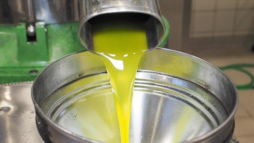 thumbs b c 755475ee59176885a97ef194631e9d1e