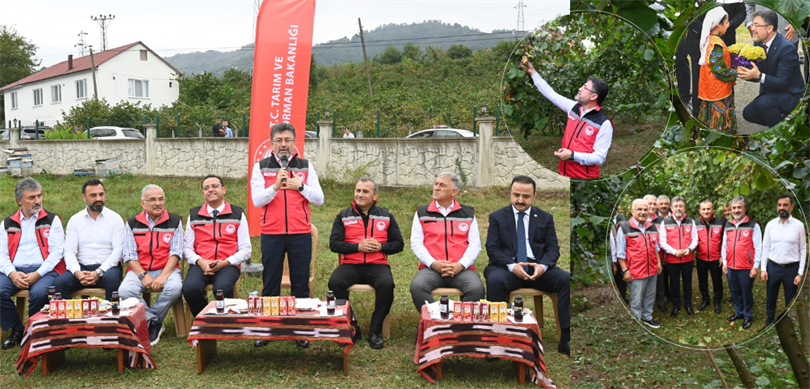 Ordu Fındık Bahçesi Açıklama Vitrin.