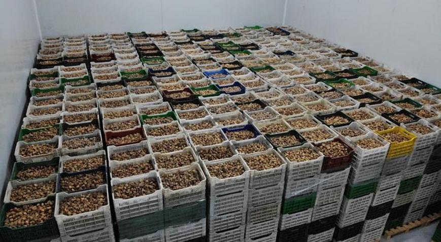 6500631086b24431b46f6698