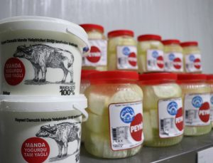 Devlet Desteğiyle Kurulan Tesiste Anadolu Mandasının Sütü Katma Değer Kazanıyor