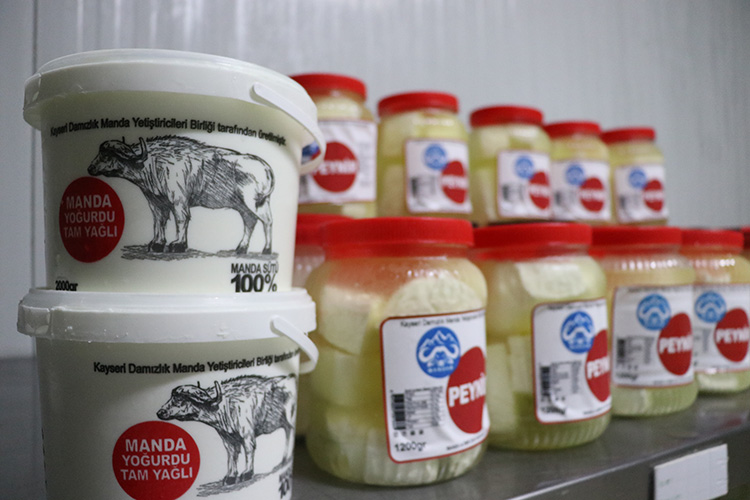 10 2023 31102023 manda3