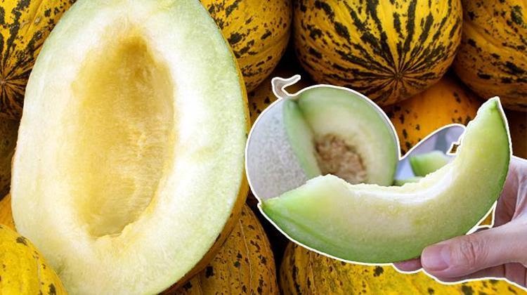 652515e386b2455f30592aee