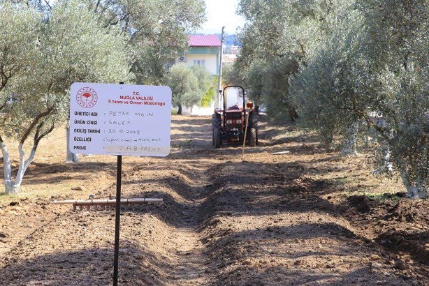 kilosu bin liradan basliyor ureticiler talebe yetisemiyor b3b23d