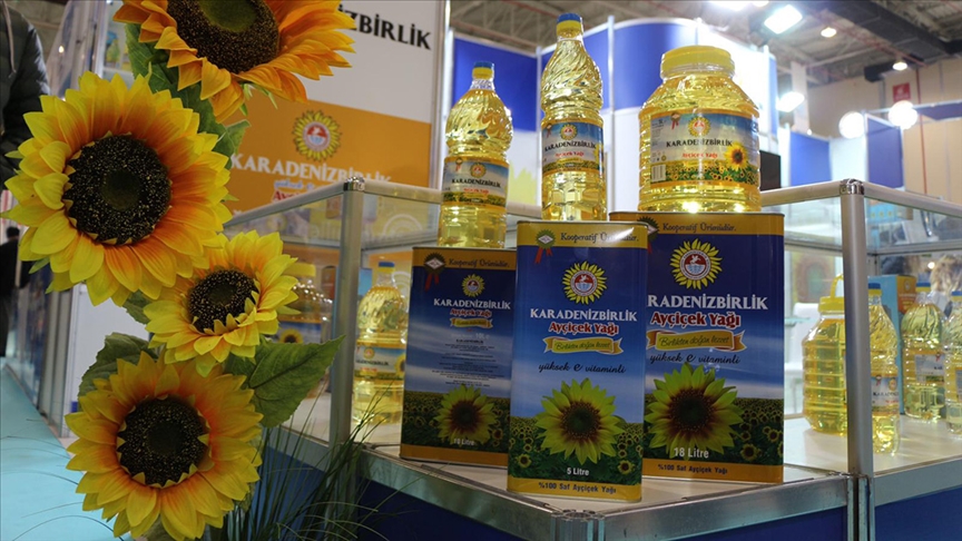 thumbs b c 448a23a433288b32854da5f19fd06852