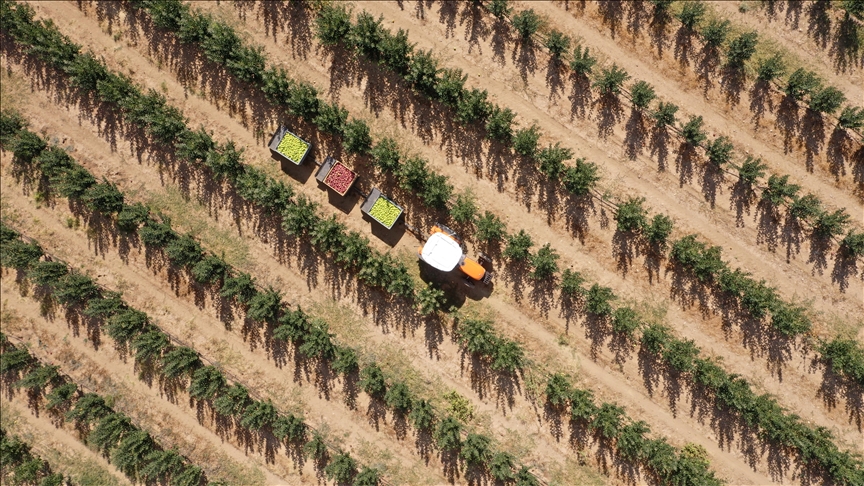 thumbs b c 839e2f480b6a111f1d5c9b9b152ab6a3