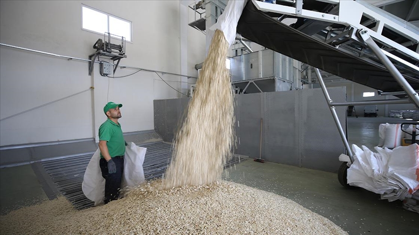 thumbs b c cba29a307b7980feb6b44a77c72a3d39