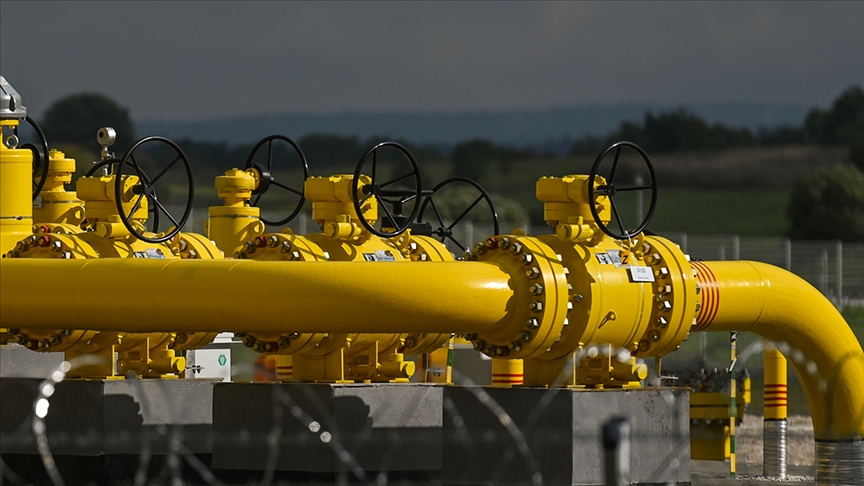 thumbs b c e50307080482db1d5510936a96adfc18 (1)