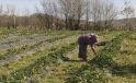 DOKAP Kapsamında Gelecek Yıl Organik Tarım Yapan 2 Bin 500 Üretici Desteklenecek